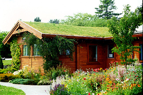 Guest Lodge 1