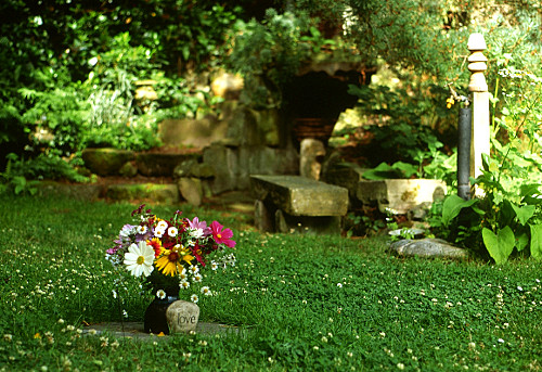 flowers near the wild garden