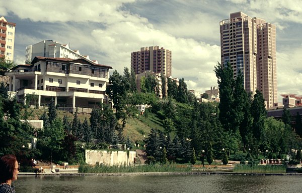 Dikmen Park trees