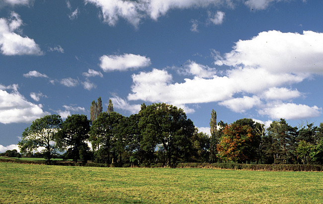 Millthorpe farmland.