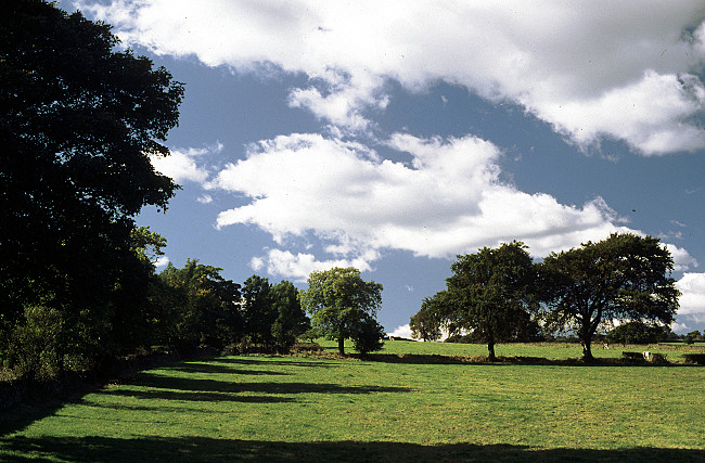 Millthorpe farm land.